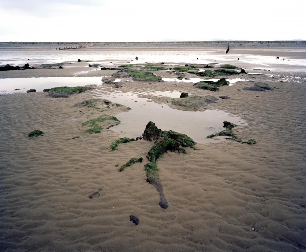 Here, the remains of an ancient forest, possibly dead around 3500 BC, on the beach at Ynyslas, in Wales, Great Britain, pictured by David Hurn in 2008. 