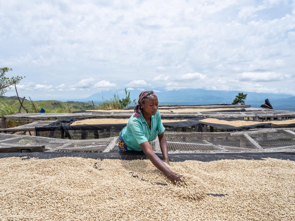 This image was taken in a coffee plantation cooperative on the border of the Virunga National Park in DRC in 2019 by Carl De Keyzer